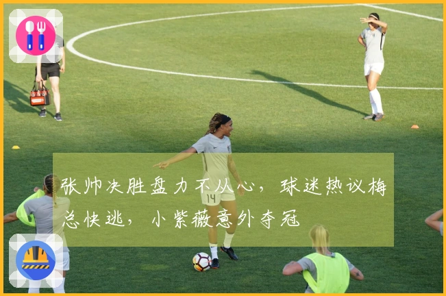 张帅决胜盘力不从心，球迷热议梅总快逃，小紫薇意外夺冠